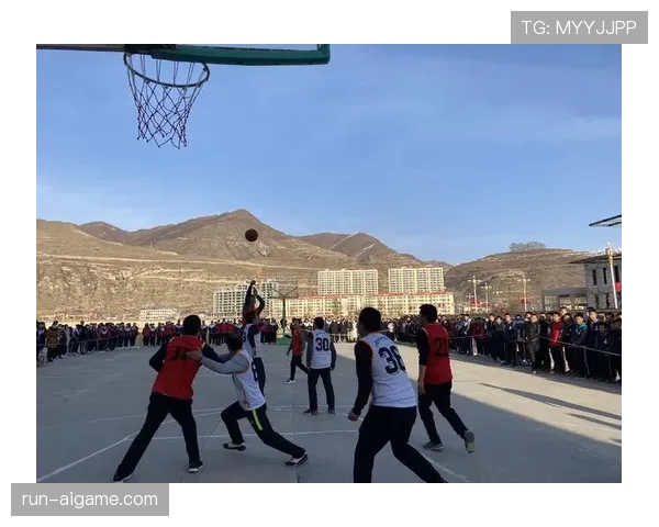 篮球比赛中视频回放判罚规则的具体适用场景与执行标准详细解析